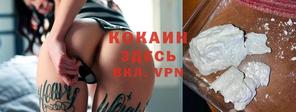 молекула духа Ладушкин