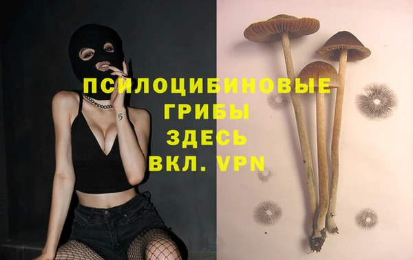 молекула духа Ладушкин