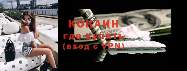 молекула духа Ладушкин