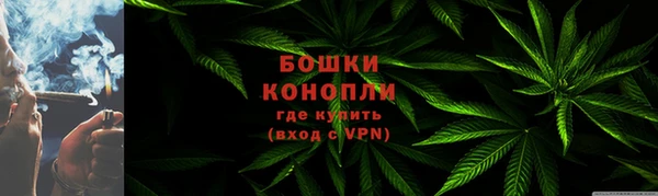 молекула духа Ладушкин