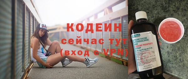 молекула духа Ладушкин